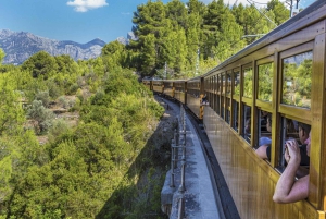 Fra Palma: Guidet tur til Serra Tramuntana og Lluc-klosteret