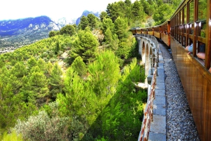 Fra Palma: Guidet tur til Serra Tramuntana og Lluc-klosteret