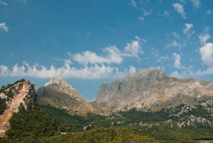 Fra Palma: Guidet tur til Serra Tramuntana og Lluc-klosteret