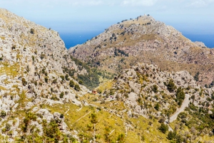 Fra Palma: Guidet tur til Serra Tramuntana og Lluc-klosteret