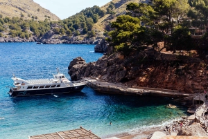 Fra Palma: Guidet tur til Serra Tramuntana og Lluc-klosteret