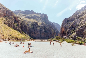 Fra Palma: Guidet tur til Serra Tramuntana og Lluc-klosteret