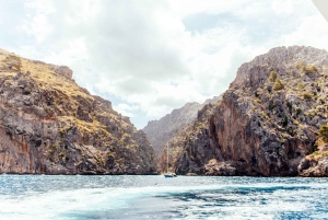 Fra Palma: Guidet tur til Serra Tramuntana og Lluc-klosteret