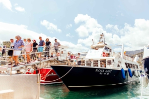 Fra Palma: Guidet tur til Serra Tramuntana og Lluc-klosteret