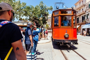 Fra Palma: Guidet tur til Serra Tramuntana og Lluc-klosteret