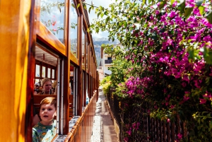 Fra Palma: Guidet tur til Serra Tramuntana og Lluc-klosteret