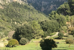 From Palma: Sierra de Tramuntana Hiking with small Picnic
