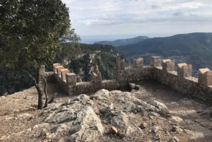 From Palma: Sierra de Tramuntana Hiking with small Picnic