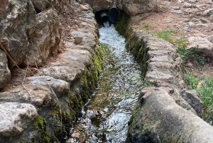 Из Пальмы: прогулка по долине Сольер и пикник на апельсиновой ферме