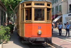 Из Пальмы: прогулка по долине Сольер и пикник на апельсиновой ферме