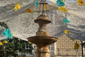 Из Пальмы: прогулка по долине Сольер и пикник на апельсиновой ферме