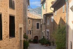 Из Пальмы: прогулка по долине Сольер и пикник на апельсиновой ферме