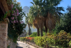 Из Пальмы: прогулка по долине Сольер и пикник на апельсиновой ферме