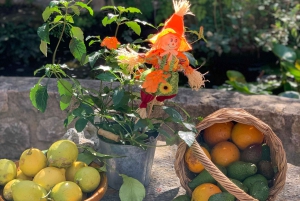 Из Пальмы: прогулка по долине Сольер и пикник на апельсиновой ферме