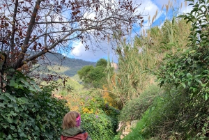 Из Пальмы: прогулка по долине Сольер и пикник на апельсиновой ферме