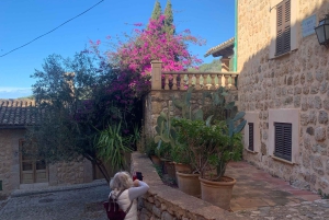 Из Пальмы: прогулка по долине Сольер и пикник на апельсиновой ферме