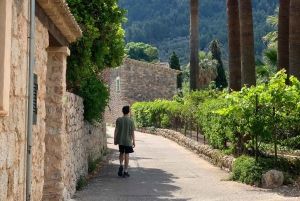 Из Пальмы: прогулка по долине Сольер и пикник на апельсиновой ферме