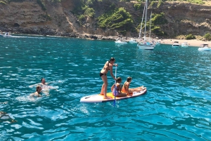 From Port Alcudia: Day Sailing Trip Cap de Formentor