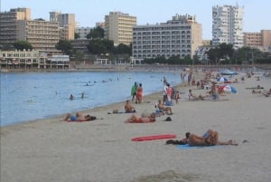 Vanaf Port Alcudia: Magaluf-shuttlebus