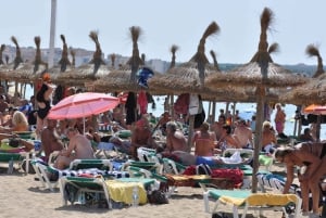 Desde Port Alcudia: Autobús lanzadera Magaluf