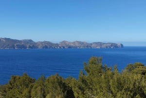 De Port d'Alcudia: passeio turístico em quadriciclo de 2 horas