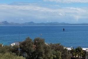 Vanuit Port d'Alcudia: 2 uur durende sightseeing-quadtour