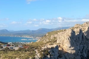 Vanuit Port d'Alcudia: Quad sightseeingtour met uitzichtpunten