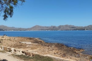 Från Port d'Alcudia: Quad Sightseeing Tour med utsiktspunkter
