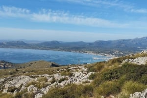 From Port d'Alcudia: Quad Sightseeing Tour with Viewpoints