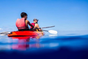 Fra Sant Elm: kajakktur inn i solnedgangen - piknik inkludert