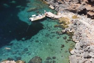 From Soller: Speedboat Tour to Sa Foradada with Snorkeling