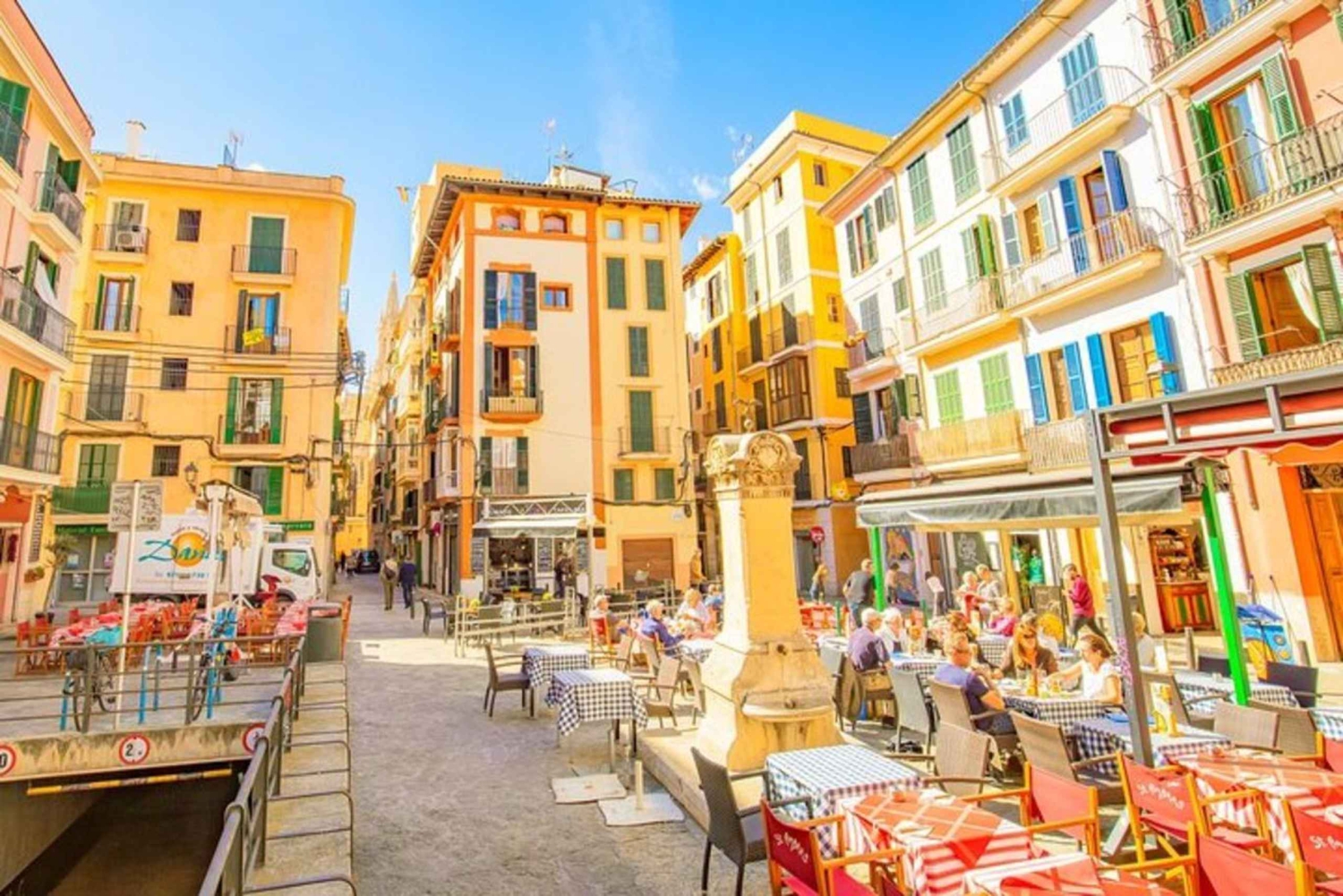 パルマ・デ・マヨルカ港からの終日プライベートショアツアー