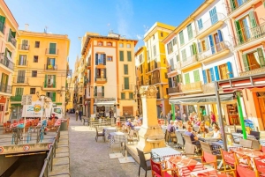 パルマ・デ・マヨルカ港からの終日プライベートショアツアー