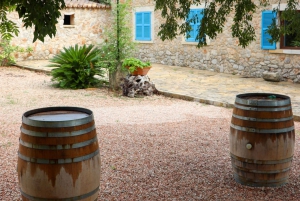 Full-Day Private Wine Tour to 3 unique Wineries in Mallorca