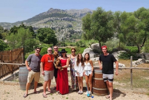 Full-Day Private Wine Tour to 3 unique Wineries in Mallorca