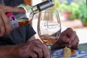 Wycieczka całodniowa: Hulajnoga elektryczna i doświadczenie z winem na Majorce