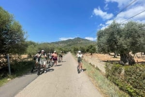 Ganztagestour: E-Scooter und Weinerlebnis Mallorca