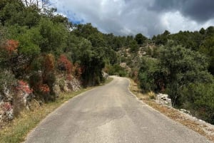 Excursão de 1 dia: E-scooter e Wine Experience Mallorca