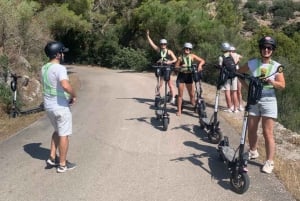 Ganztagestour: E-Scooter und Weinerlebnis Mallorca