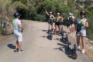 Tour di un giorno intero: E-scooter e esperienza del vino a Maiorca