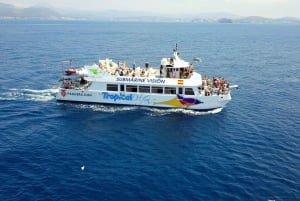 Glass-Bottom Dolphin Watching Boat Tour with Lunch