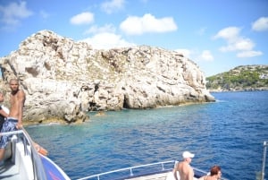 Glass-Bottom Dolphin Watching Boat Tour with Lunch