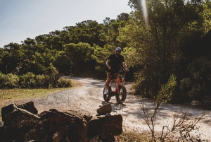 Guided E-Bike Tour Ibiza