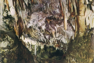 Mallorca: Day Trip to Caves of Hams & Optional Dinosaurland