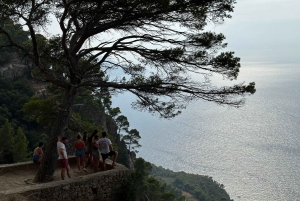 Skjulte viker, fotturer og snorkling på Mallorca