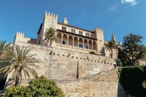 Highlights & Hidden Gems of Palma de Mallorca Private Tour