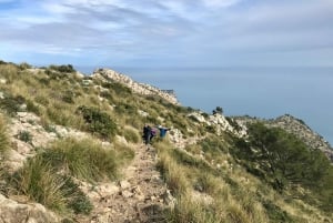 Hiking on Alcúdia Peninsula