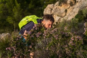 Port Andratx: Vandringstur i solnedgangen til Sant Elm