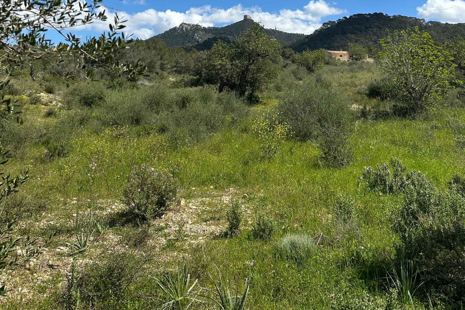 Wycieczka piesza z bajecznym widokiem na dawny klasztor Sant Salvador 3-4 godz.