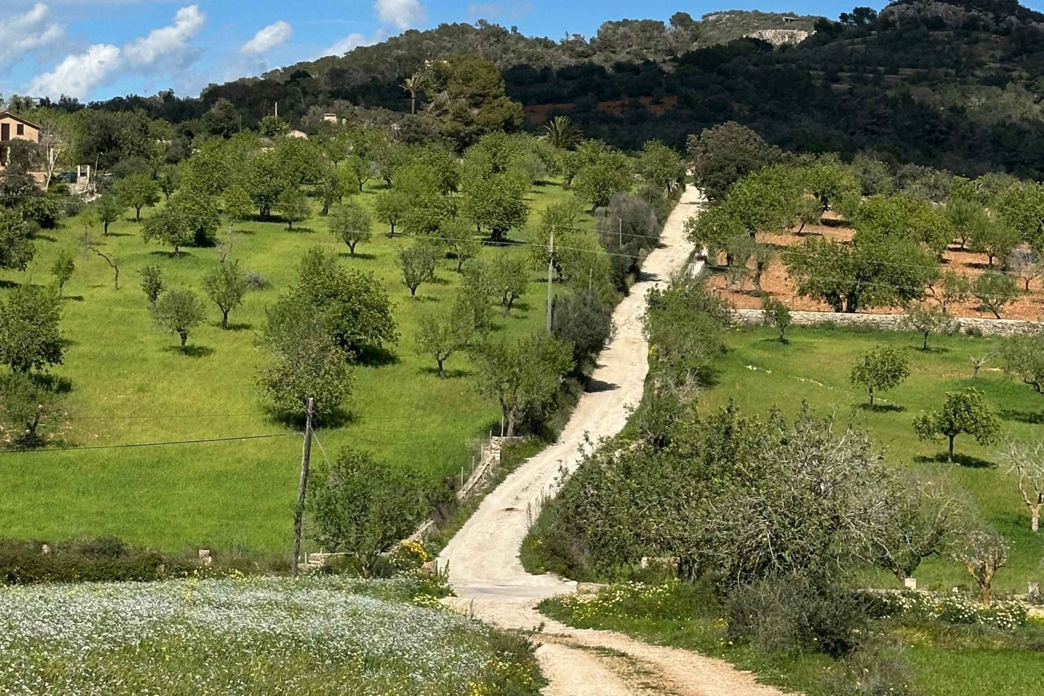Wycieczka piesza z bajecznym widokiem na dawny klasztor Sant Salvador 3-4 godz.